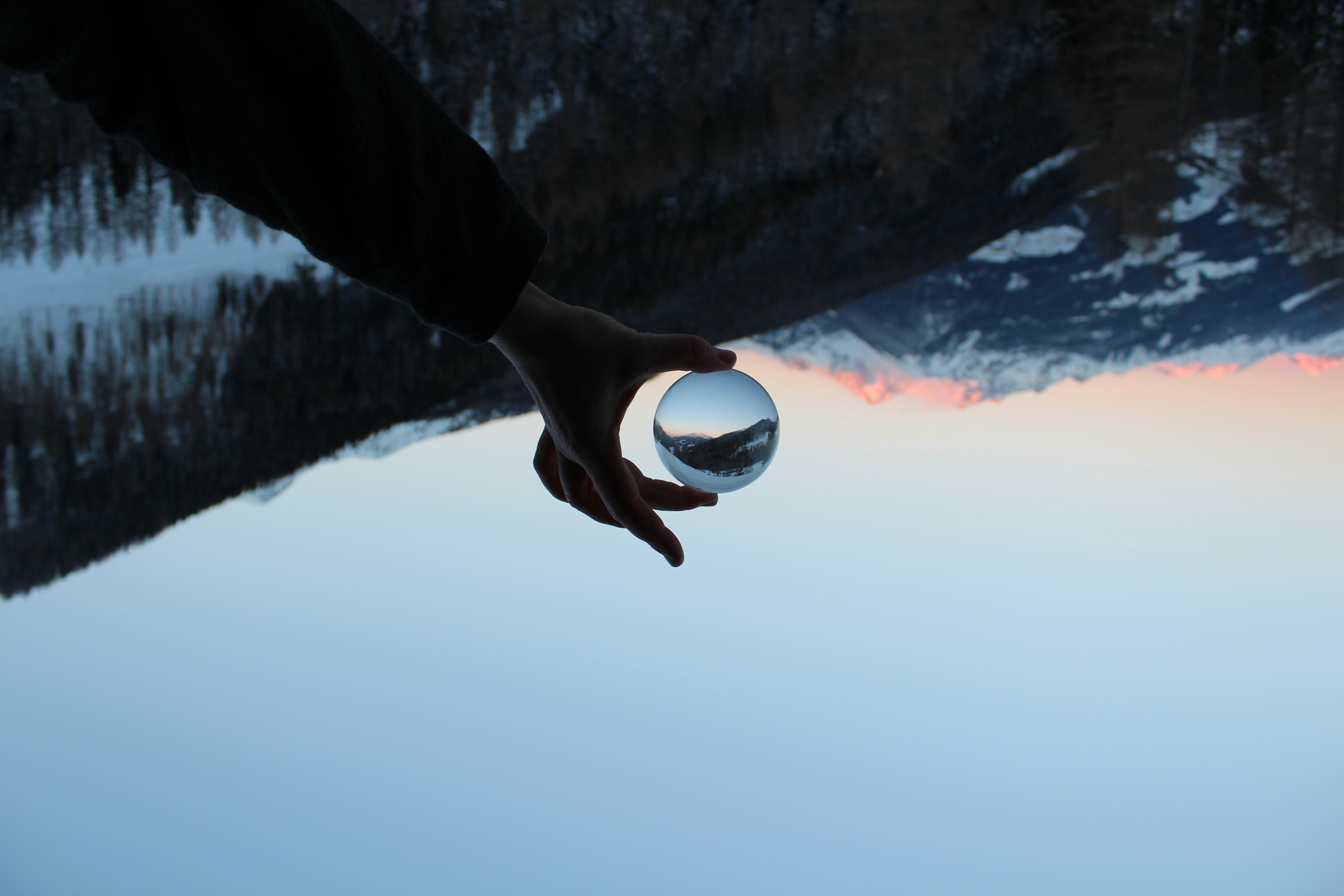person holding white and black ball
