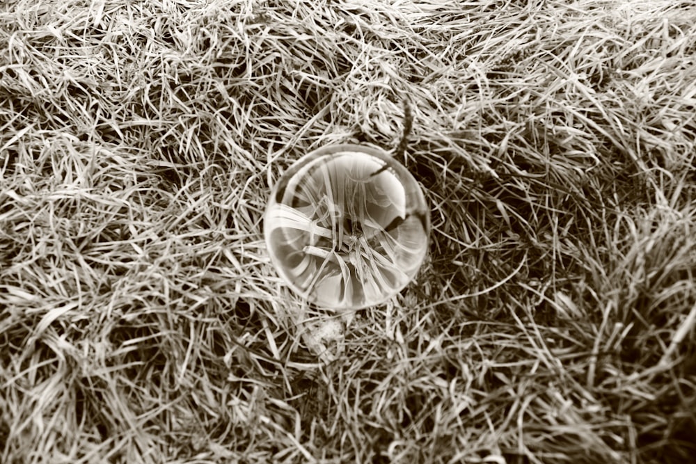 clear glass ball on grass