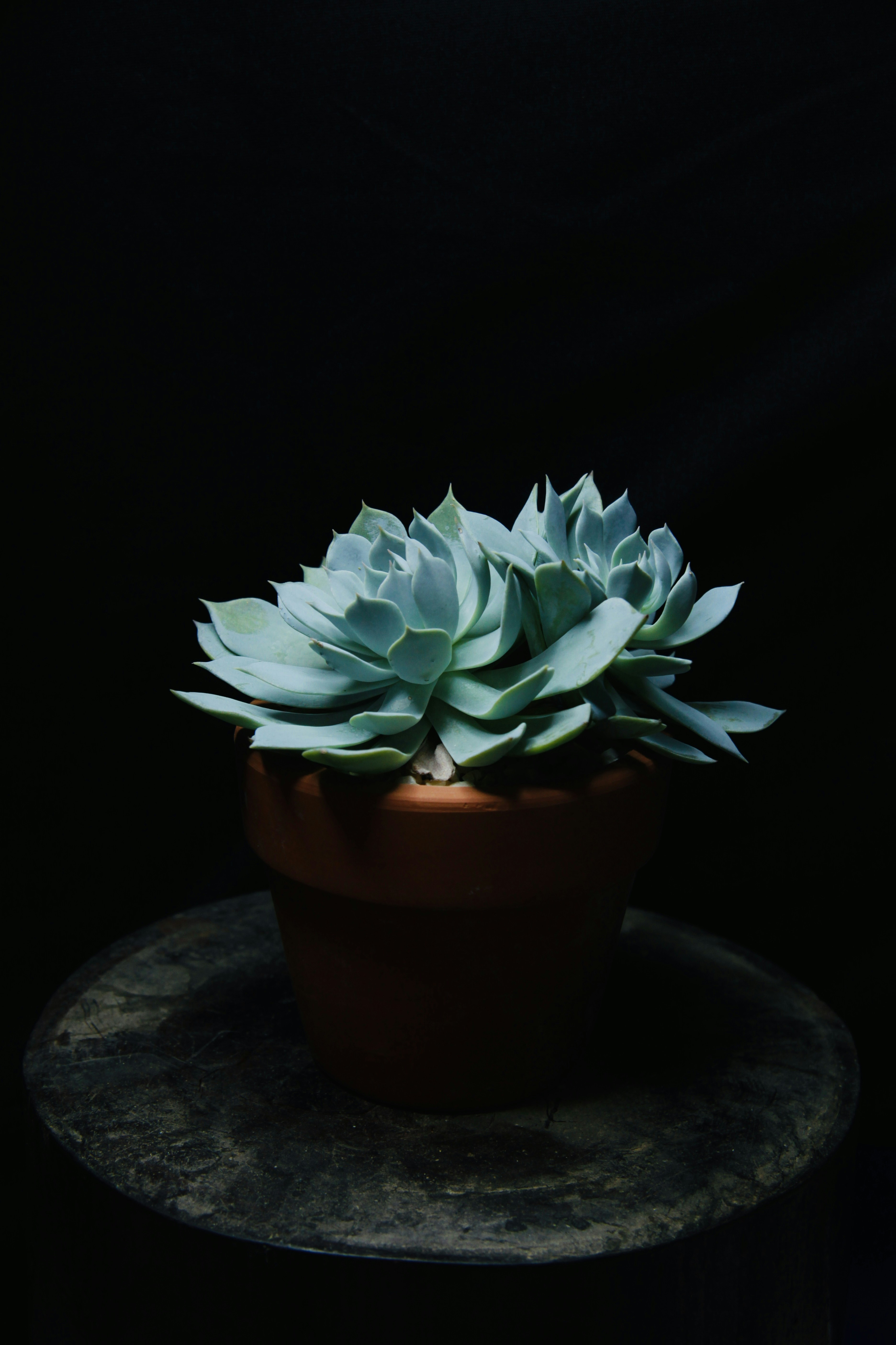 Photo by thomaschieu