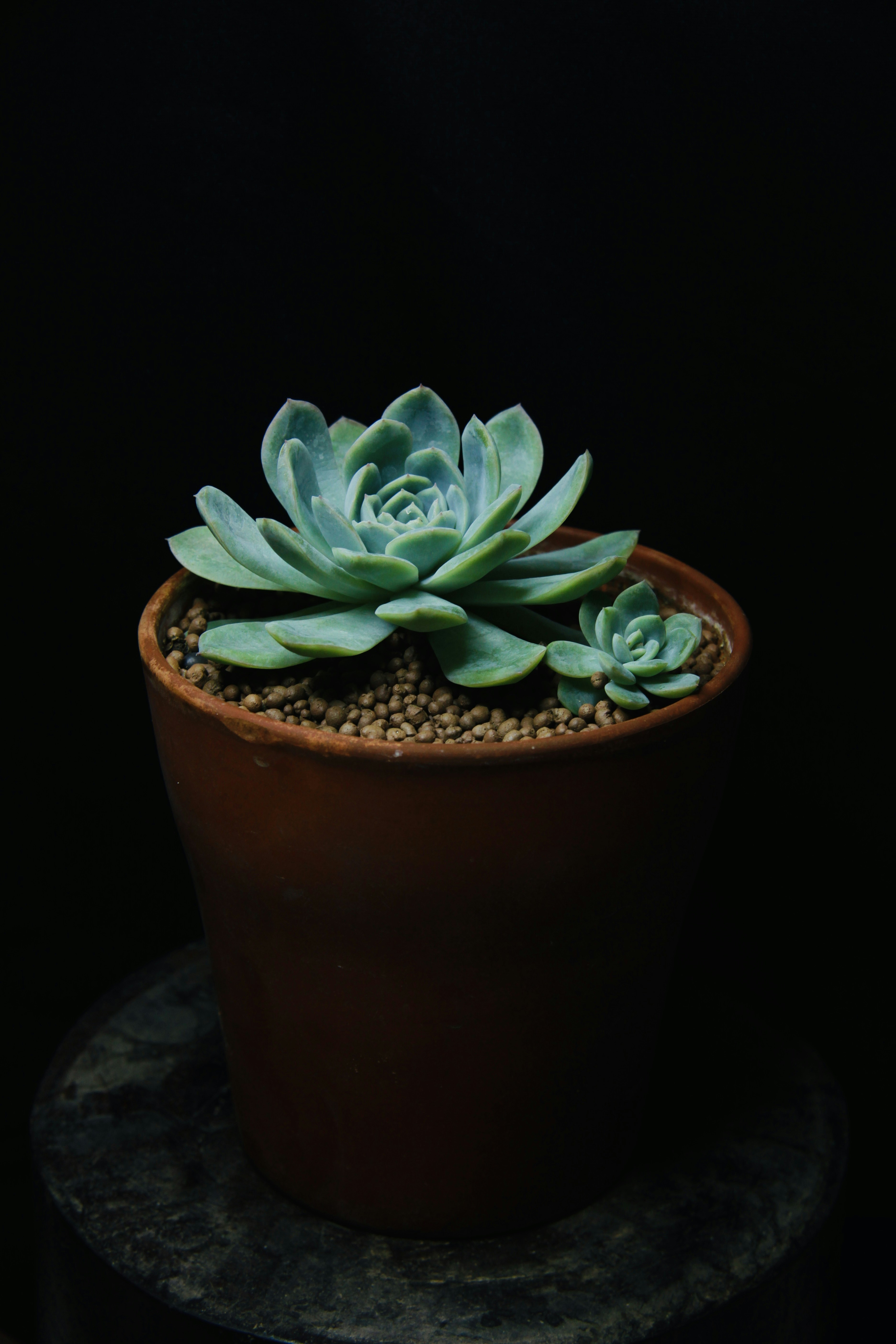 Photo by thomaschieu