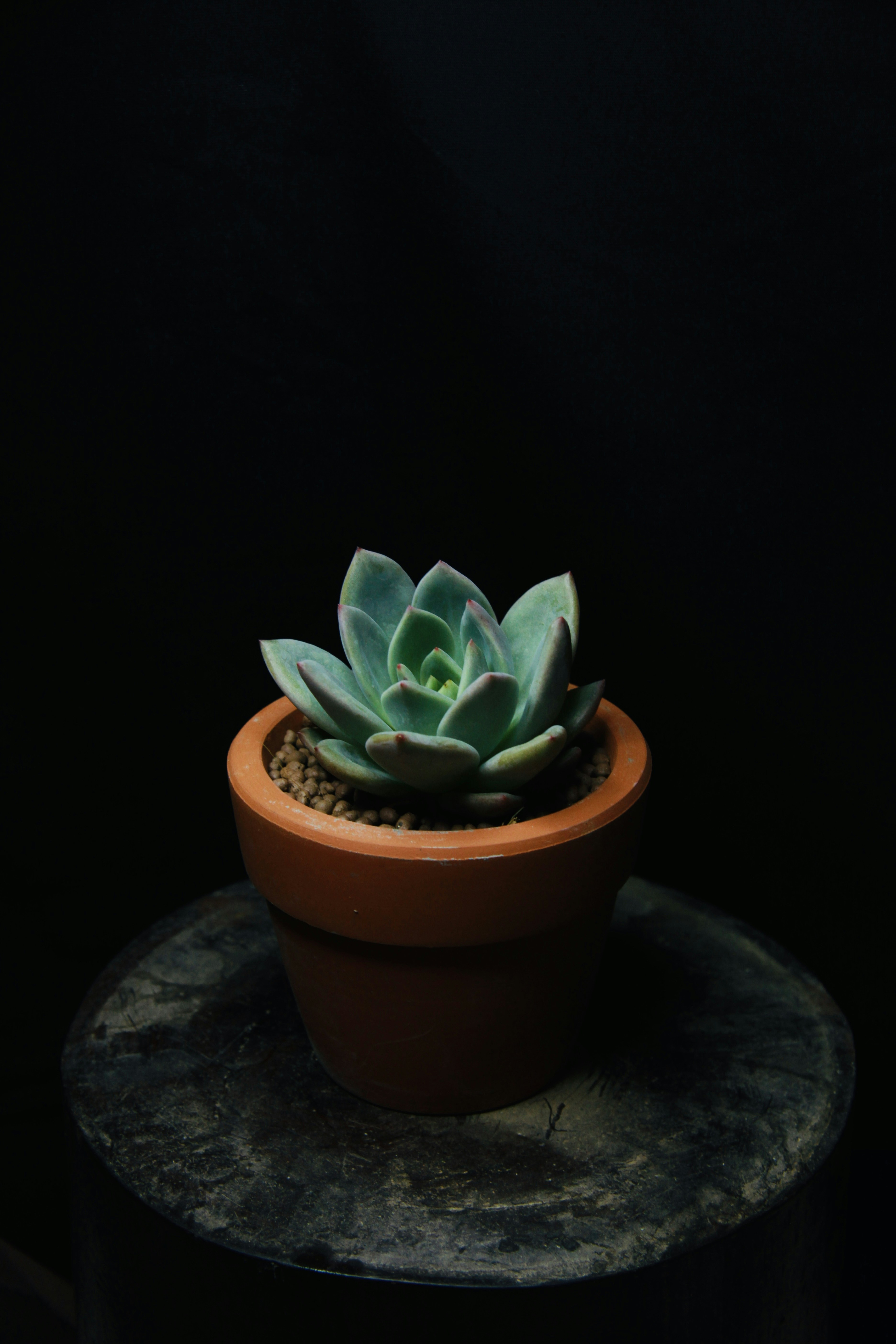 Photo by thomaschieu