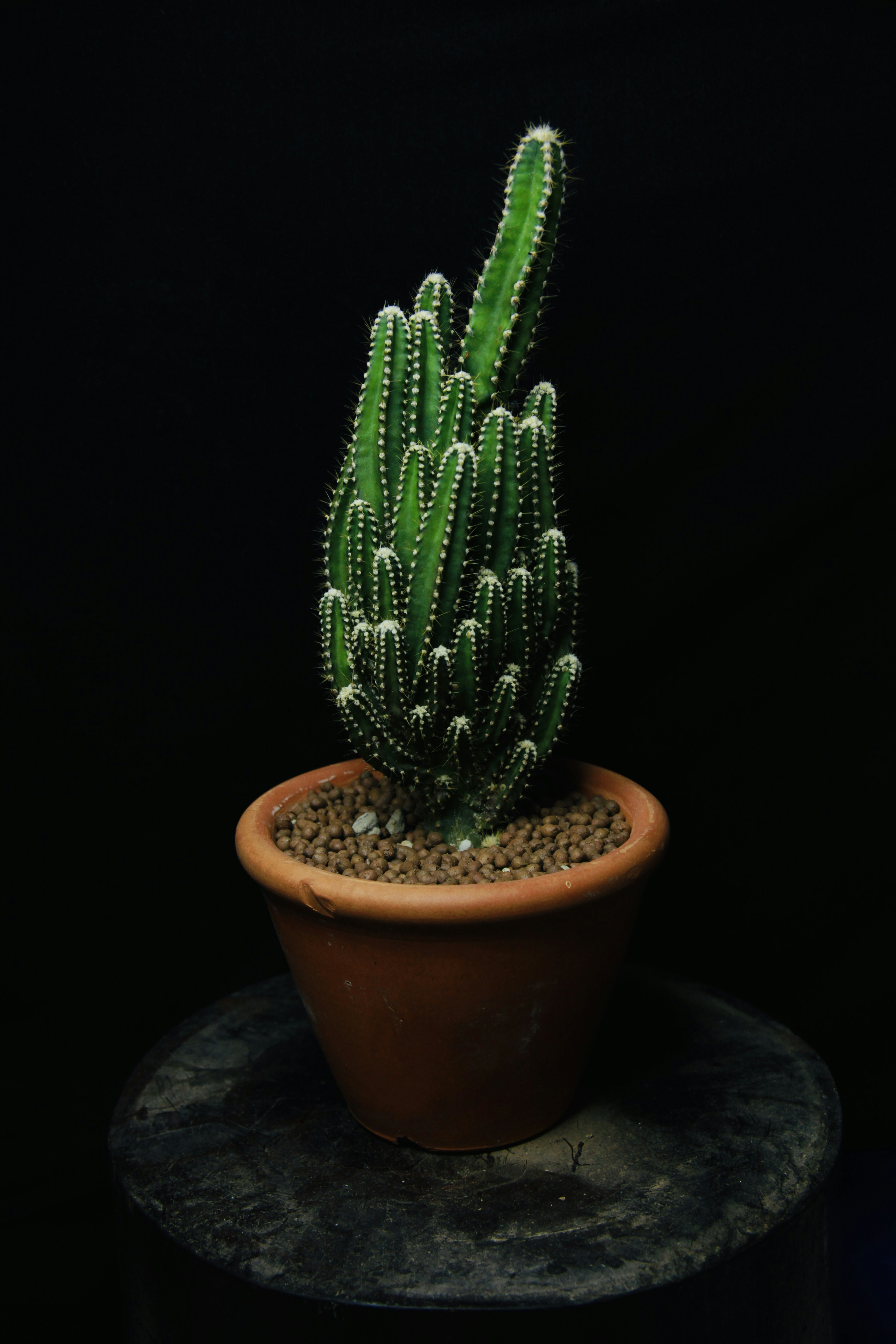 Photo by thomaschieu