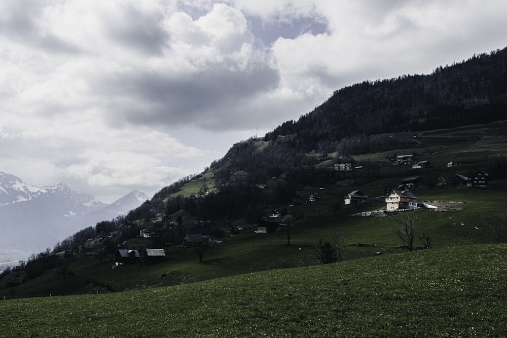 green grass field and trees under white clouds