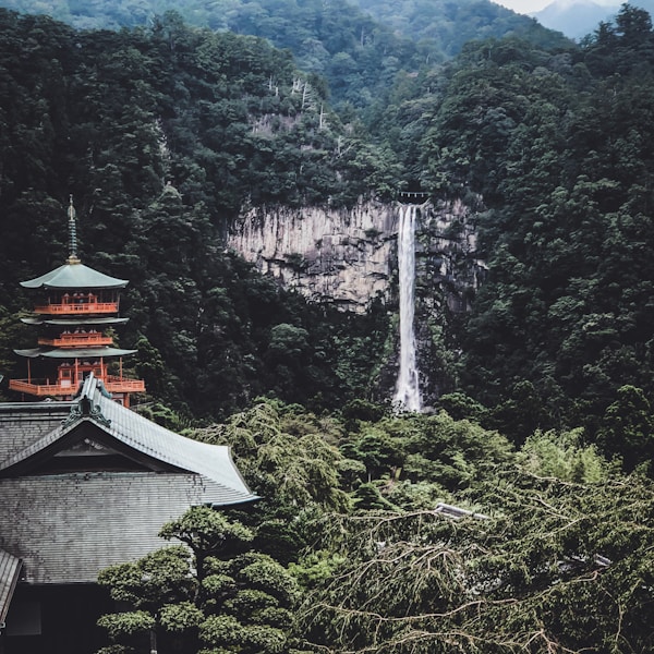 Wakayama Local Cuisine: Dishes, Restaurants & Recipes