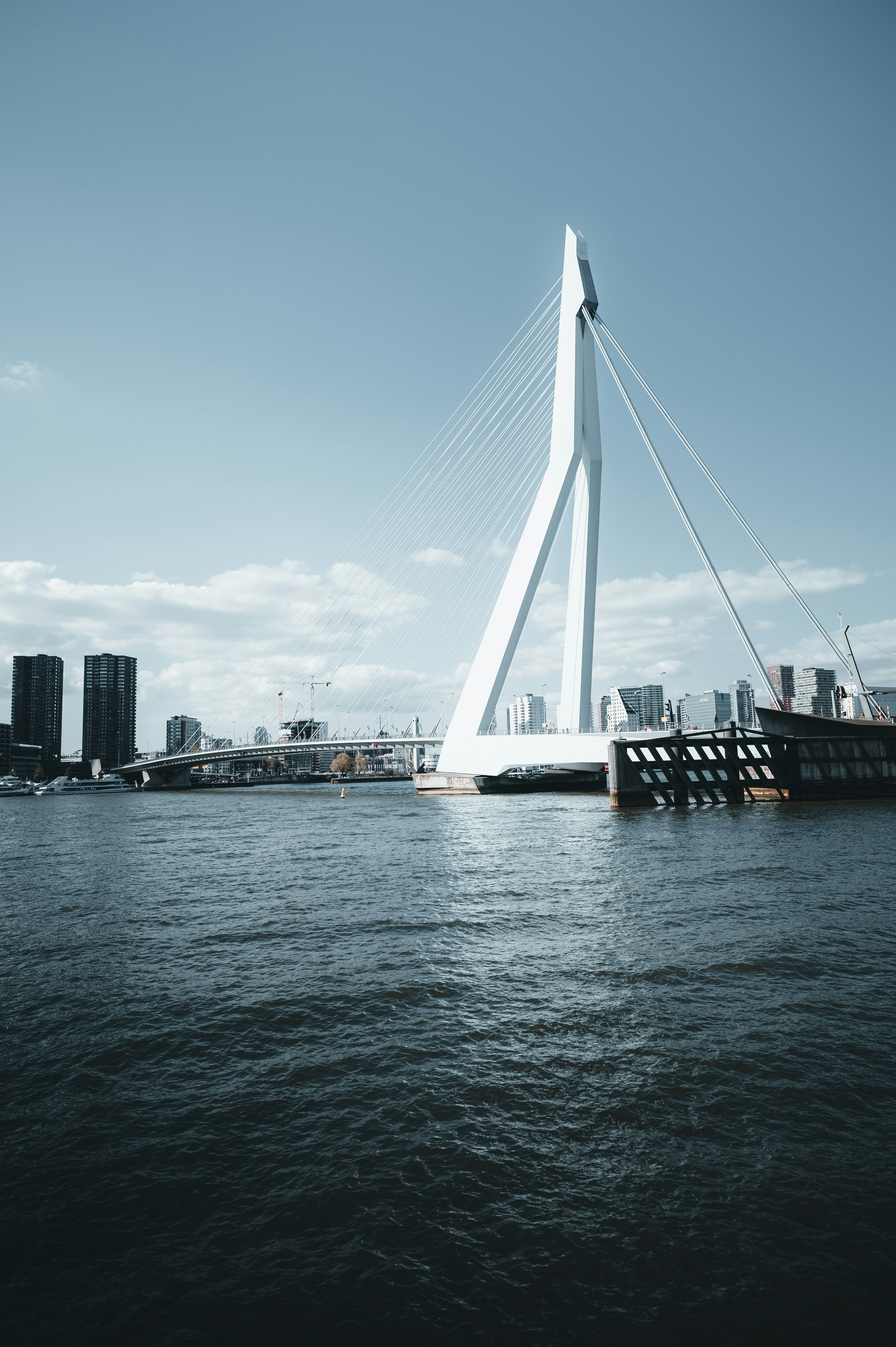 white bridge over body of water during daytime