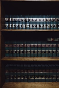 brown wooden shelf with books
