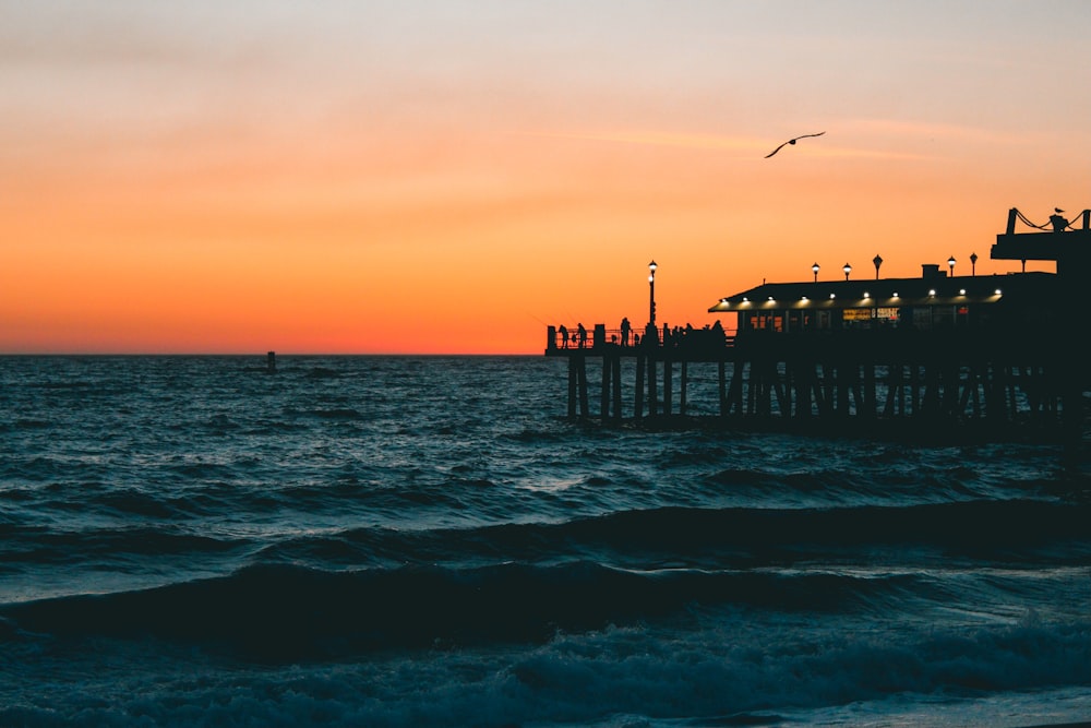 silhouette of people on beach during sunset