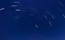 blue sky with stars during daytime