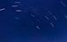 blue sky with stars during daytime