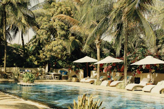 people sitting on white and brown outdoor lounge chairs near swimming pool during daytime
