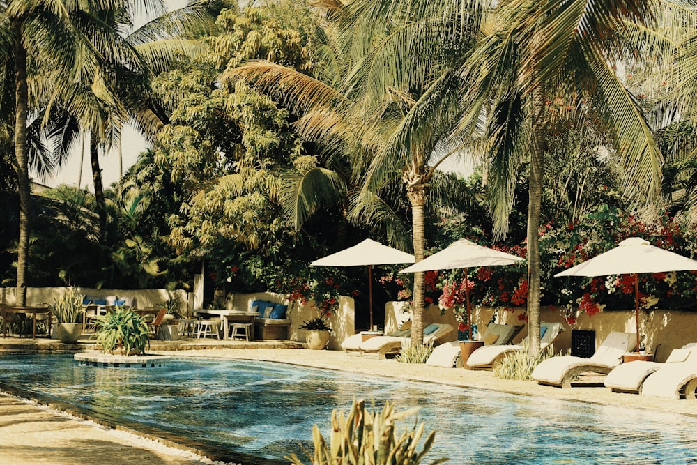 people sitting on white and brown outdoor lounge chairs near swimming pool during daytime