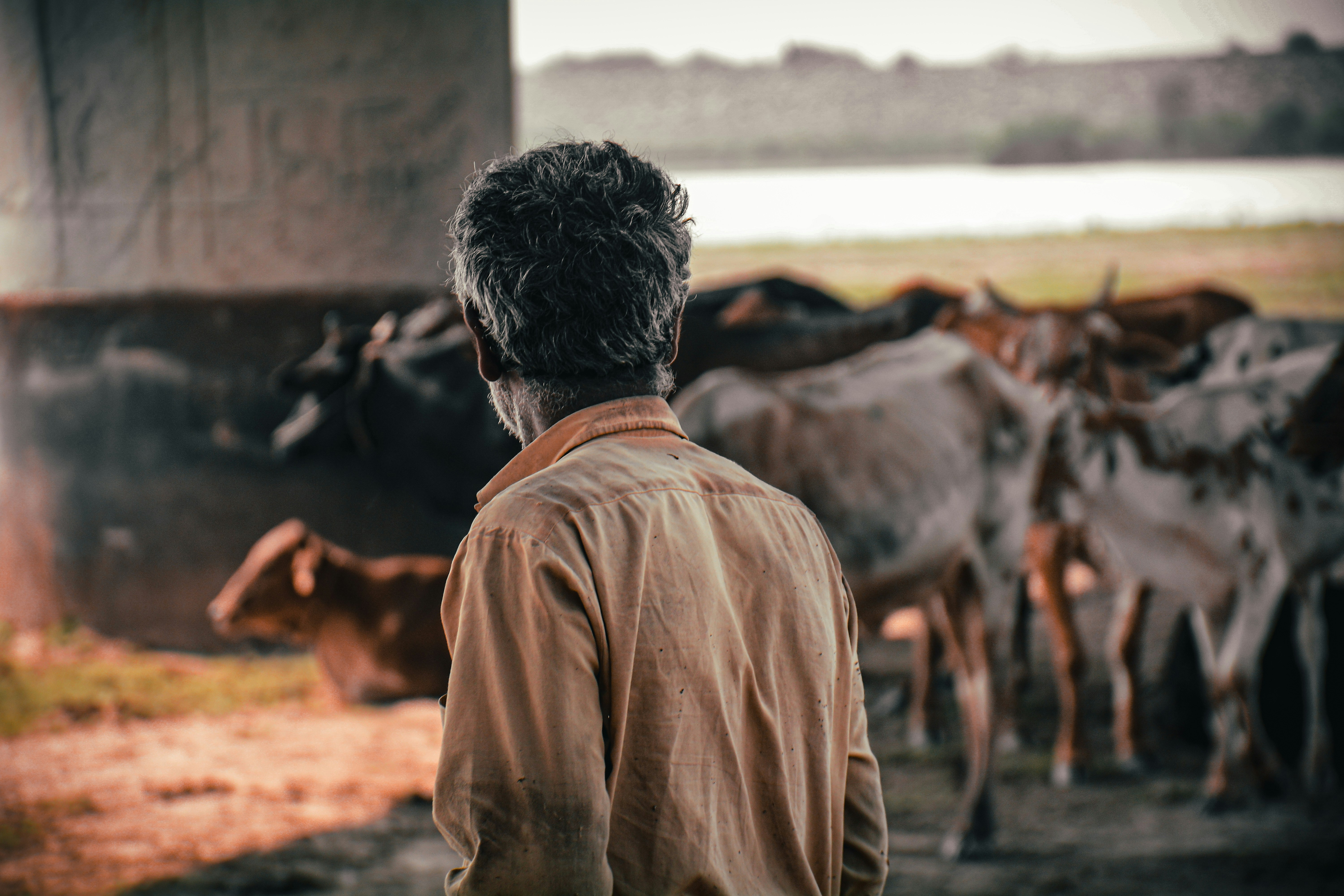 man in brown jacket standing near horses during daytime