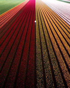 red and brown road during daytime