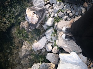 Trail Verde