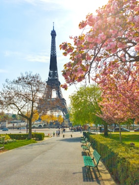 eiffel tower in paris france during daytime