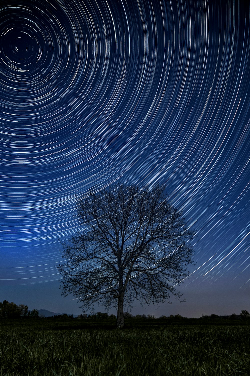 time lapse photography of bare trees under blue sky during daytime