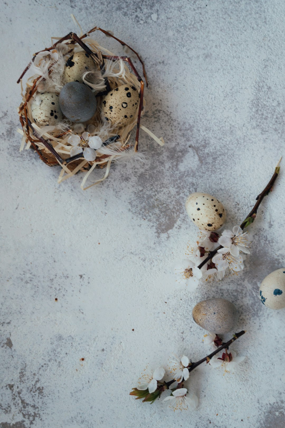 white and brown round fruits on white sand