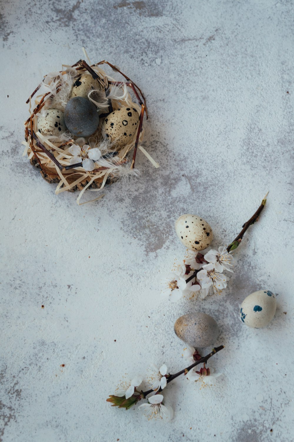 white and gray eggs on brown nest