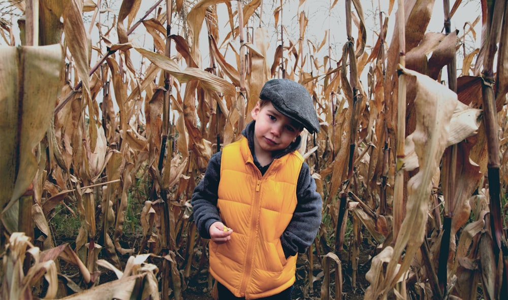boy in yellow and gray jacket standing in corn field during daytime