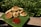 A serving of golden-brown fried patties is neatly arranged on a bright green banana leaf. A dollop of red sauce is placed beside the patties. The setup is outdoors, with abundant green foliage in the background and laid upon a wooden surface.