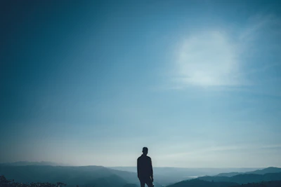 A lone hunter silhouette against a vast, open landscape at dawn.