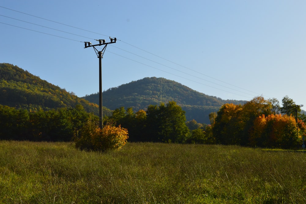 green grass field near green mountain under blue sky during daytime