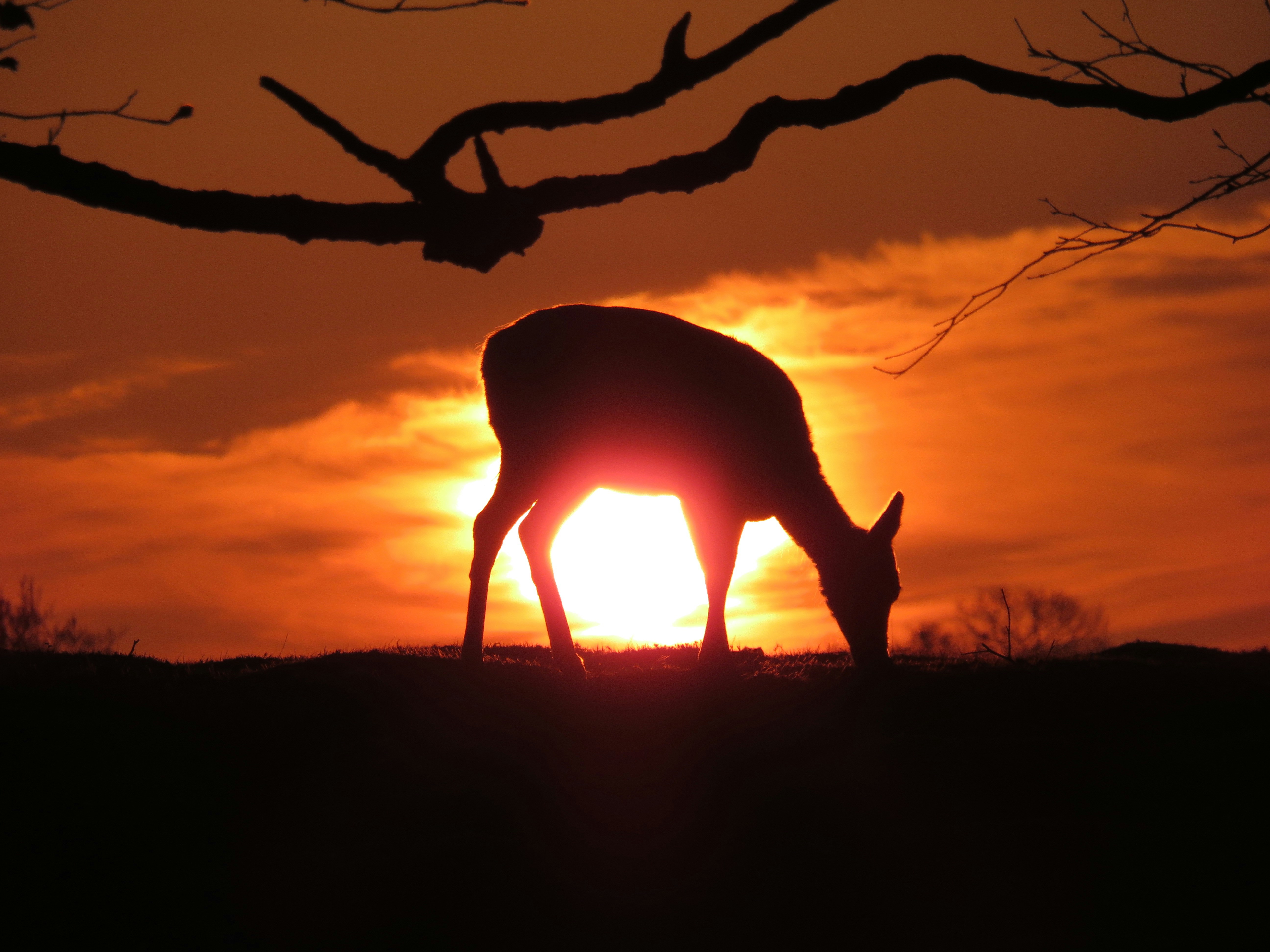 Photo by staceyhfc10