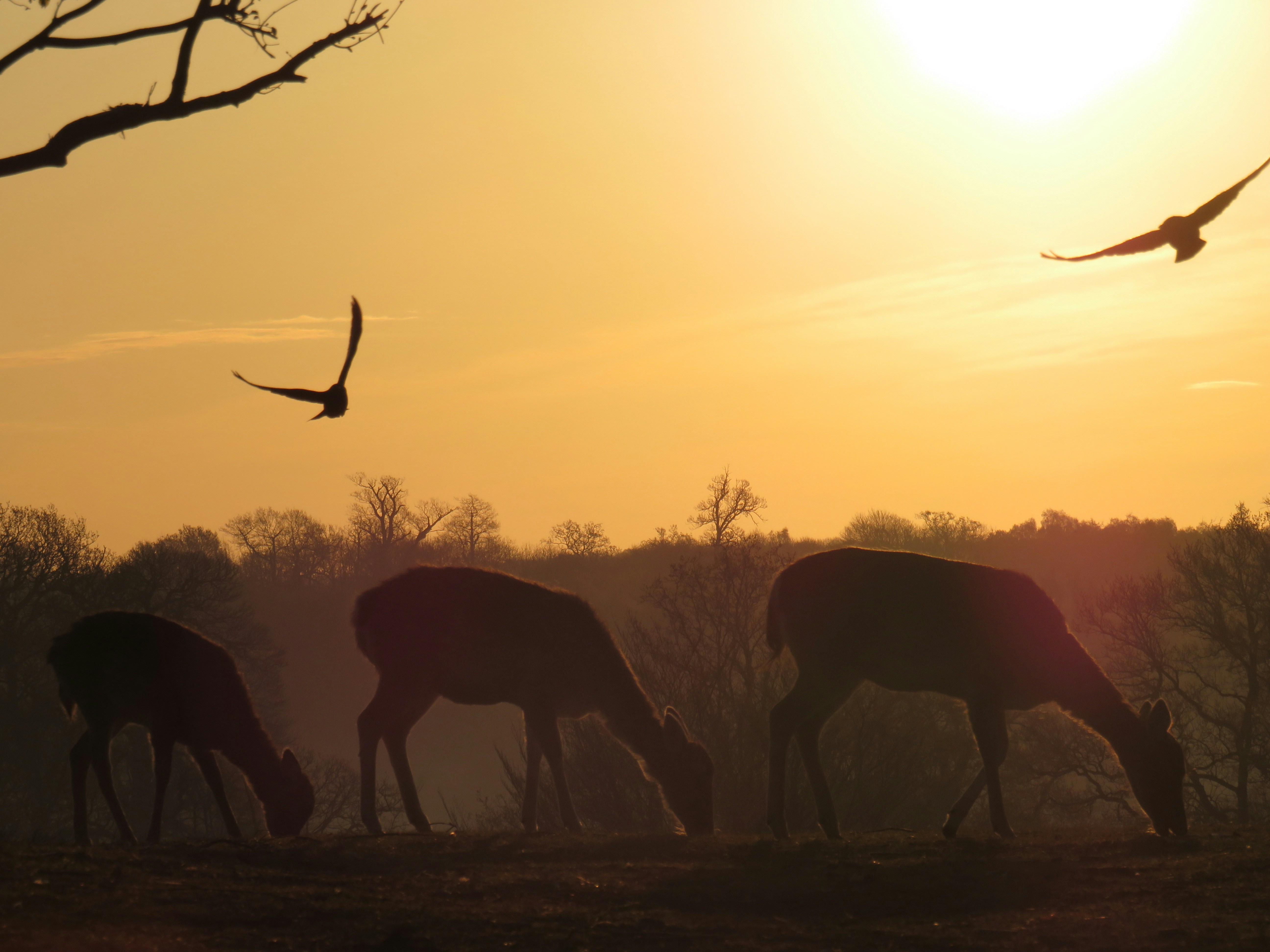 Photo by staceyhfc10