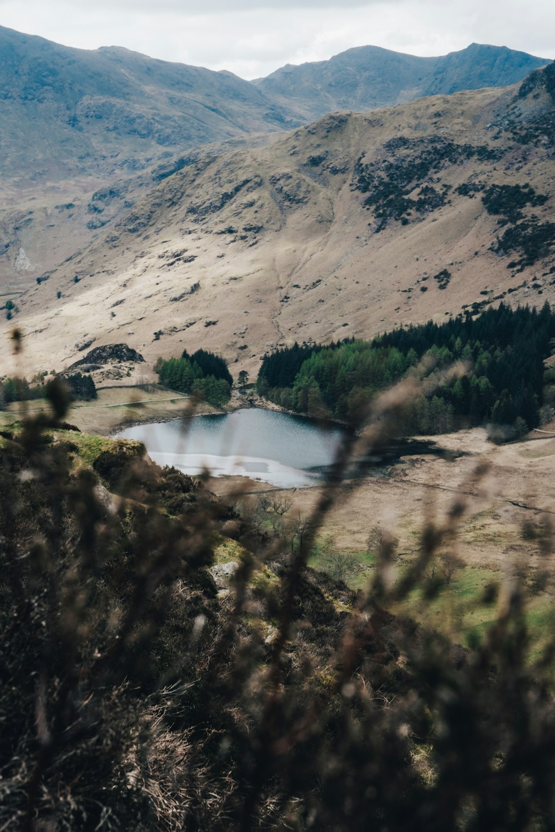 lake in the middle of the forest