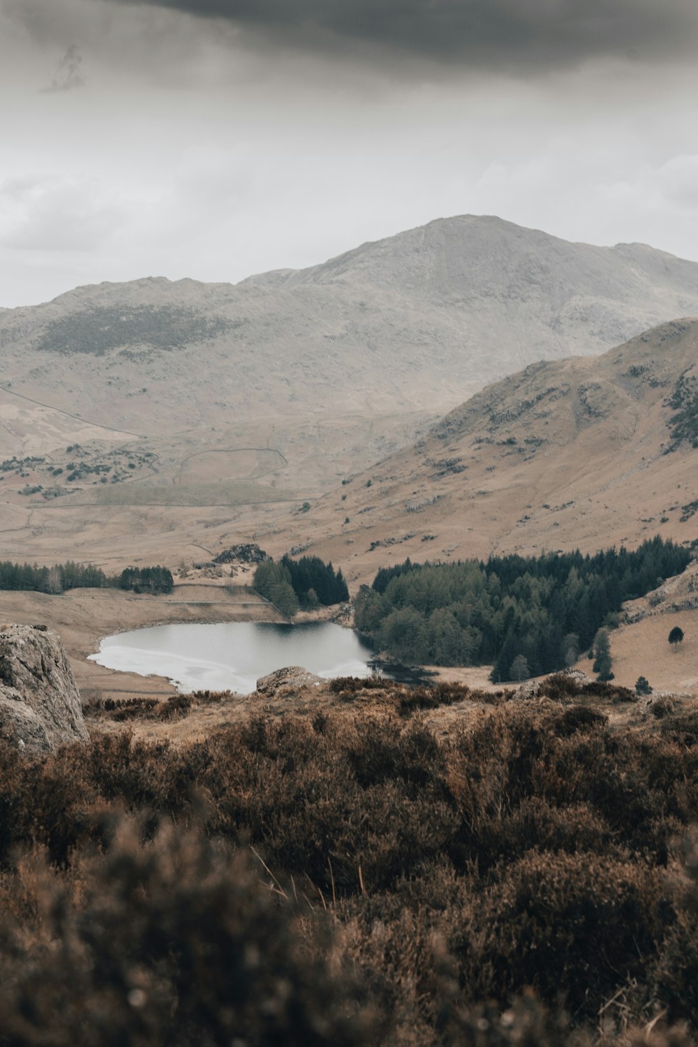 lake in the middle of the forest