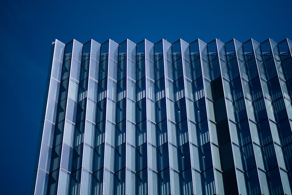 blue and white concrete building