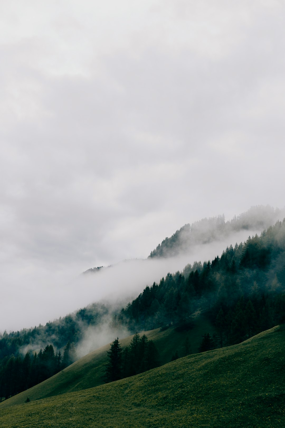 green trees on mountain under white clouds during daytime