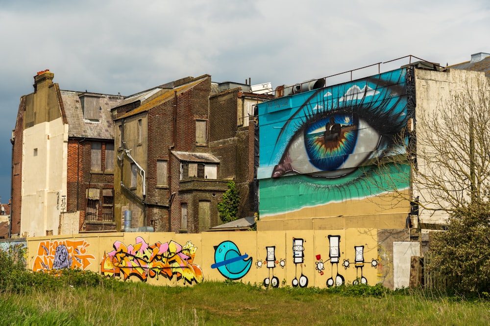 blue and yellow bird graffiti on brown concrete building during daytime