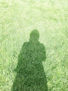 A silhouette of a person is cast on a lush green grass field.