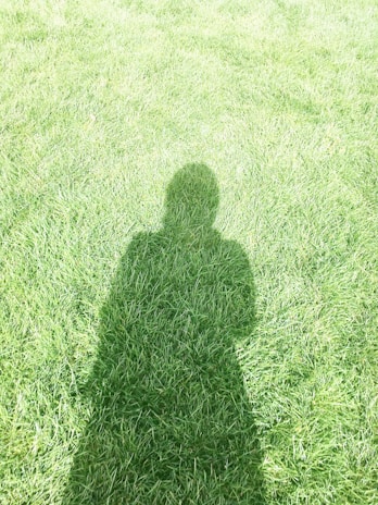 A silhouette of a person is cast on a lush green grass field.