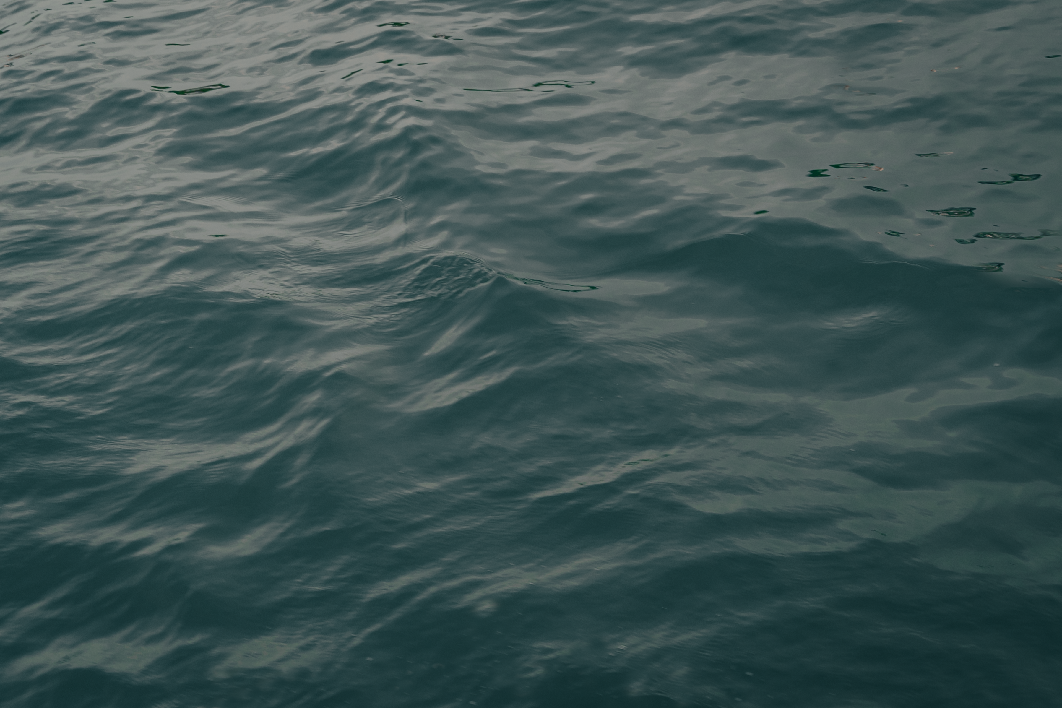 Photo by albertvincentwu