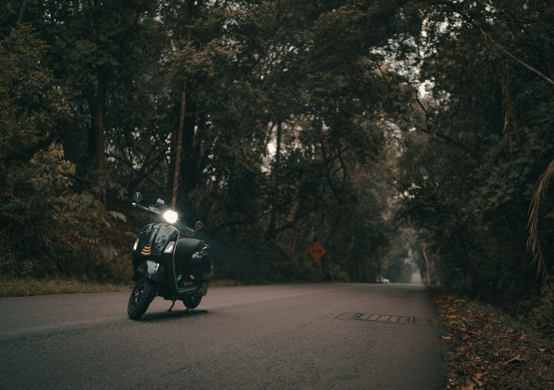 black motorcycle on road between trees during daytime