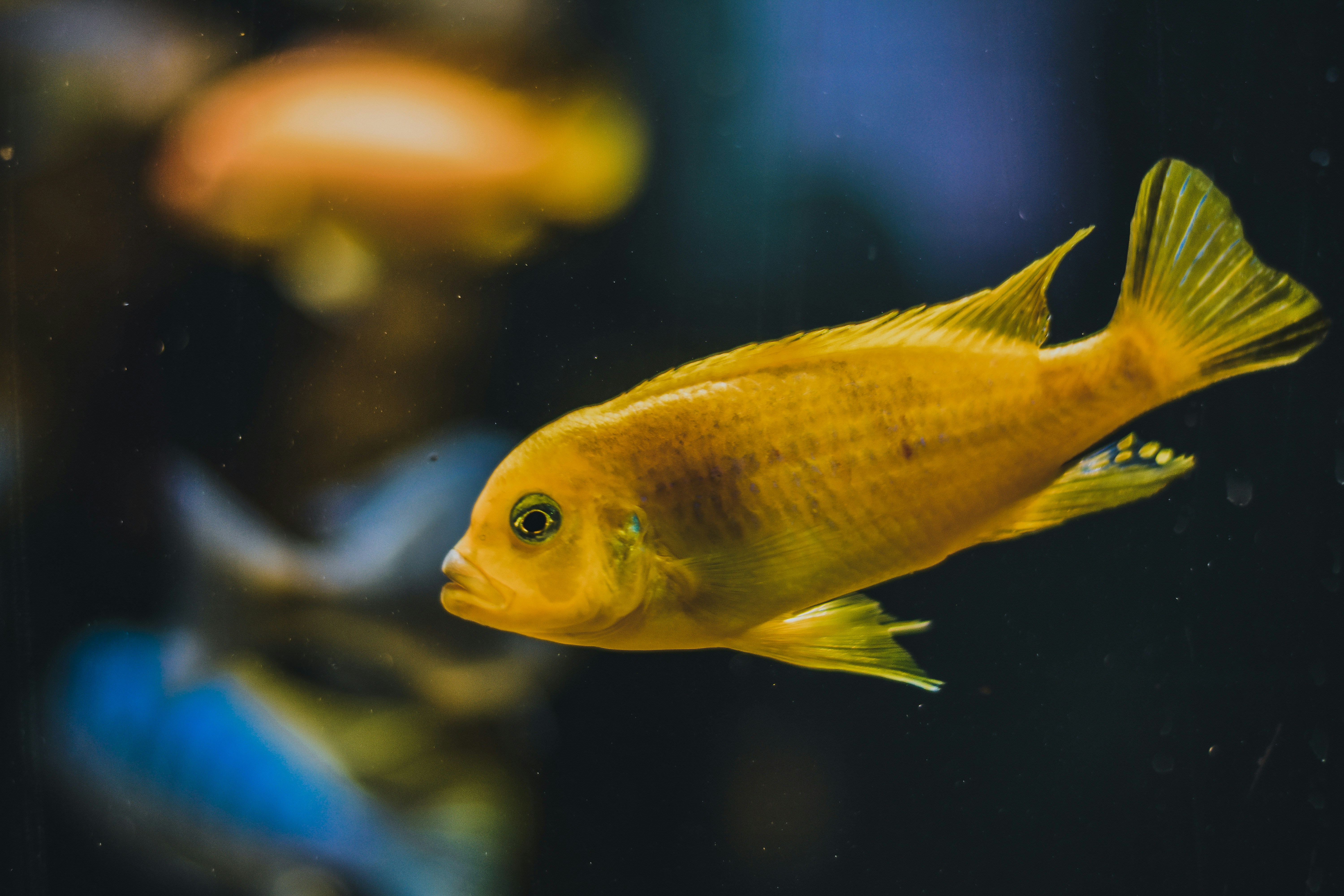 Photo by caseyconnell