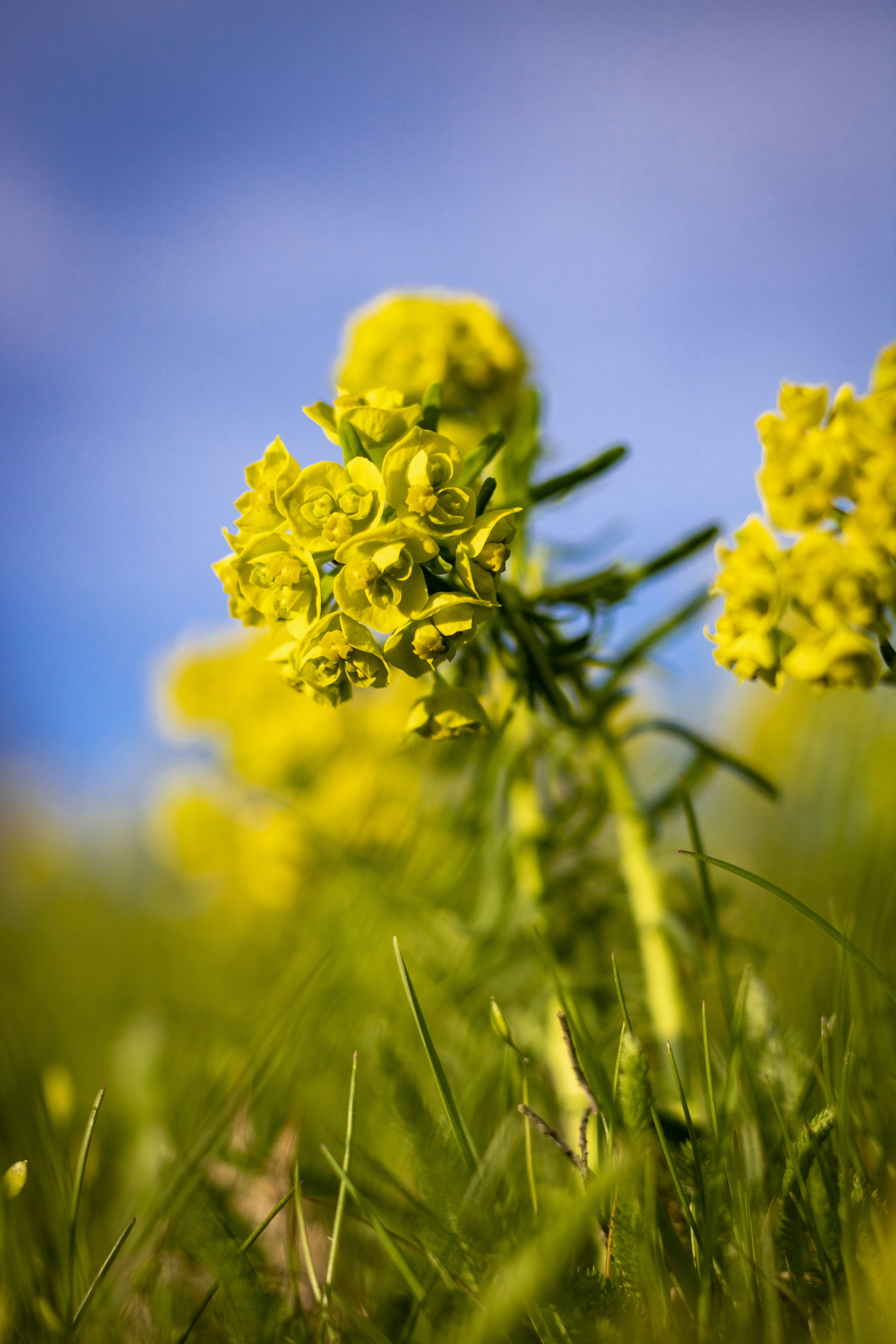 Photo by ovidiugruescu