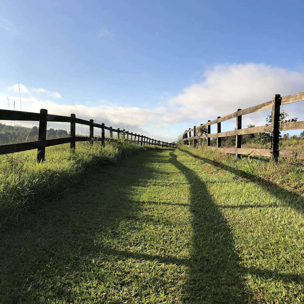 Grünes Grasfeld mit braunem Holzzaun unter blauem Himmel tagsüber