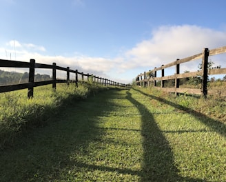 green grass field with brown wooden fence under blue sky during daytime