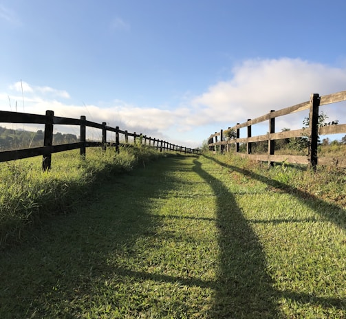 green grass field with brown wooden fence under blue sky during daytime