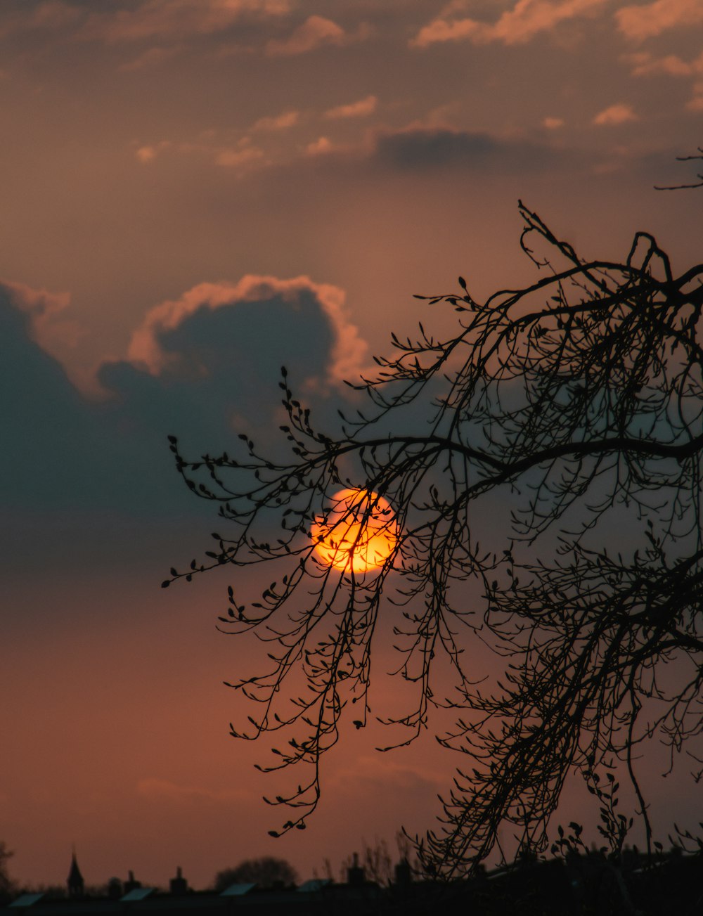 Silhouette eines Baumes unter bewölktem Himmel bei Sonnenuntergang