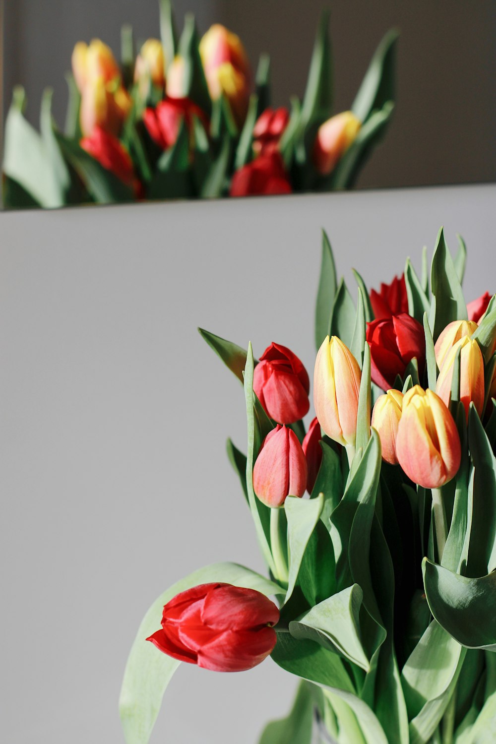 yellow and red tulips in red ceramic vase