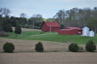 A rural landscape featuring a bright red barn and outbuildings located on a gently sloping hill. In the foreground, there is a field with neatly spaced trees, and in the background, a line of trees with early spring foliage. Silver silos are positioned to the right of the barn, adding a reflective contrast to the scene.