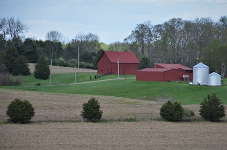 A rural landscape featuring a bright red barn and outbuildings located on a gently sloping hill. In the foreground, there is a field with neatly spaced trees, and in the background, a line of trees with early spring foliage. Silver silos are positioned to the right of the barn, adding a reflective contrast to the scene.