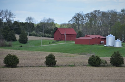 A rural landscape featuring a bright red barn and outbuildings located on a gently sloping hill. In the foreground, there is a field with neatly spaced trees, and in the background, a line of trees with early spring foliage. Silver silos are positioned to the right of the barn, adding a reflective contrast to the scene.