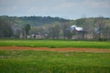A peaceful farm landscape with green fields and a red barn in the distance.