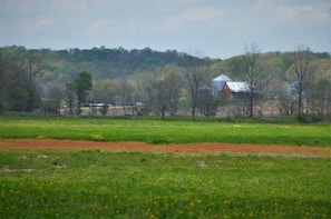 A peaceful farm landscape showing rows of vegetables and flowers with the barn in the background.