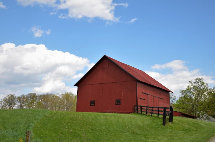 Secret in the Barn